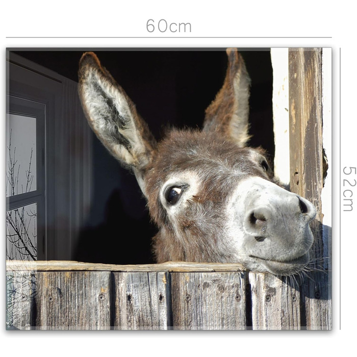 Кухонний фартух timalo зі скляним виглядом Акрилове скло 2 мм Бризкозахисна стіна для плити, скляний фартух, акрилові скляні стінові панелі, захисна панель для фартуха Бетонно-блакитно-сірий (60x52 см, 240- Donkey)