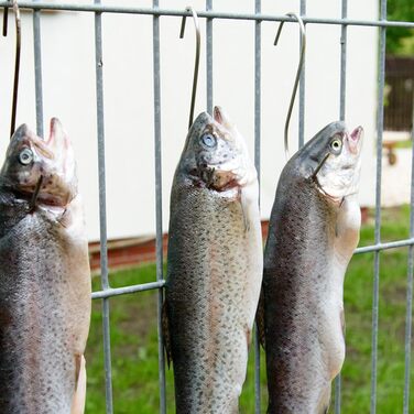 Набір з 20 м'ясних гачків для копчення 15 см Firschoie