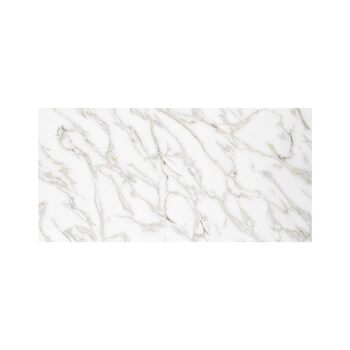 колір: пальма