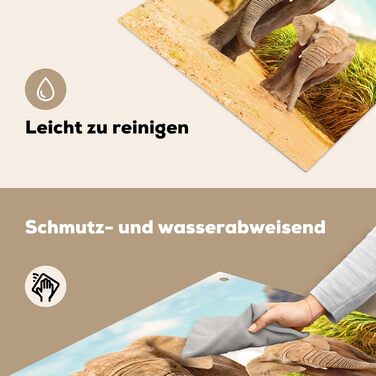 Фартух для плити, кухонний фартух, вініл, 78x52 см, декор для кухні, облицювання стіни, кришка для плити - сіро-чорна (слони - тварини, 78Д x 78Ш см)