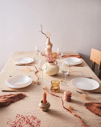 Тарелка обеденная Luminarc APY (7087281)