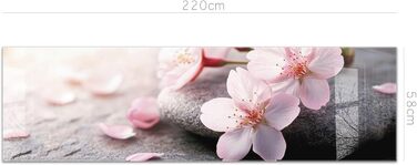 Кухонний фартух timalo зі скляним виглядом Північне море, очерет, захід сонця, океан, солома 2 мм акрилове скло Бризок настінний для плити, кухонний скляний фартух, акрилова скляна настінна панель, панель для фартуха (220 x 58 см, 314- Цвітіння вишні)