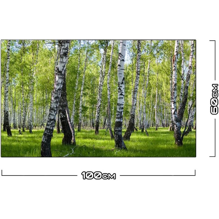 Дизайнерський кухонний фартух з алюмінієвого композиту, кухонний фартух, товщина 3 мм, 60x100 см, (Березовий ліс)