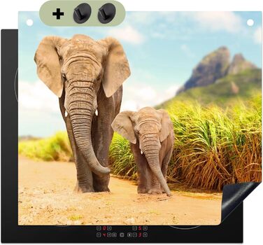 Фартух для плити, кухонний фартух, вініл, 78x52 см, декор для кухні, облицювання стіни, кришка для плити - сіро-чорна (слони - тварини, 52Д x 60Ш см)