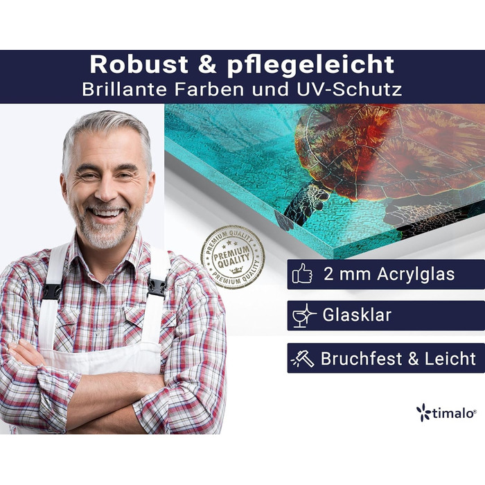 Кухонний фартух timalo зі скляним виглядом Північне море, очерет, захід сонця, океан, солома 2-мм акрилове скло Бризкозахисна стінка для плити, скляний кухонний фартух, акрилові скляні стінові панелі, захисна панель для фартуха (80 x 50 см, 310- Turtle)