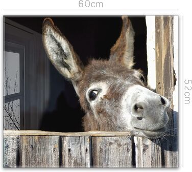 Кухонний фартух timalo зі скляним виглядом Акрилове скло 2 мм Бризкозахисна стіна для плити, скляний фартух, акрилові скляні стінові панелі, захисна панель для фартуха Бетонно-блакитно-сірий (60x52 см, 240- Donkey)
