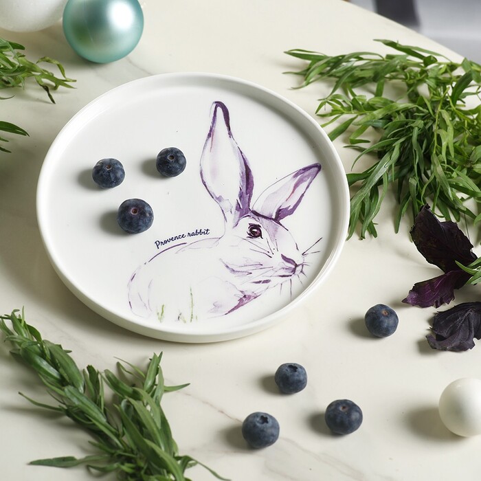 Тарілка Fissman PROVENCE RABBIT 20 см см порцеляна (13952)