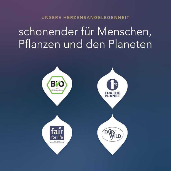 Адвент-календарь 2025, 24 чайных пакетика 12 видов чая Pukka