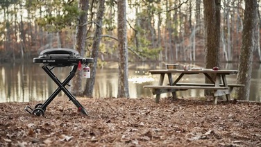 Газовый гриль Traveler Compact Portable Weber 1500527 Код: 011772
