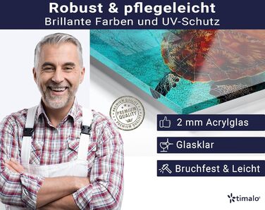 Кухонний фартух timalo зі скляним виглядом Північне море, очерет, захід сонця, океан, солома 2-мм акрилове скло Бризкозахисна стінка для плити, скляний кухонний фартух, акрилові скляні стінові панелі, захисна панель для фартуха (80 x 50 см, 310- Turtle)