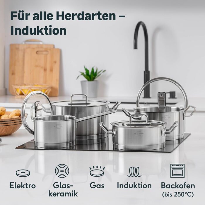 Набір каструль з нержавіючої сталі зі скляними кришками, 4 предмети Silberthal