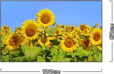 Дизайнерський кухонний фартух з алюмінієвого композиту, кухонний фартух, товщина 3 мм, 60x100 см, (Соняшники)