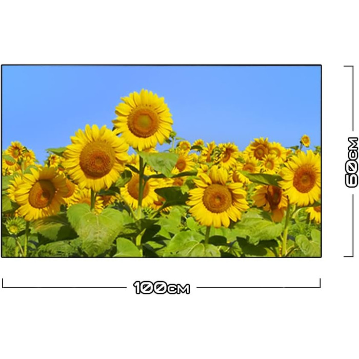 Дизайнерський кухонний фартух з алюмінієвого композиту, кухонний фартух, товщина 3 мм, 60x100 см, (Соняшники)