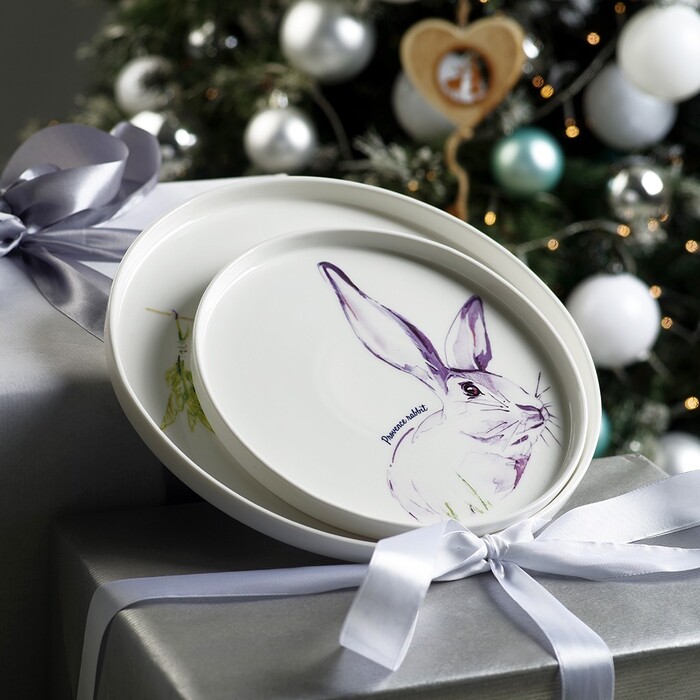 Тарілка Fissman PROVENCE RABBIT 20 см см порцеляна (13952)