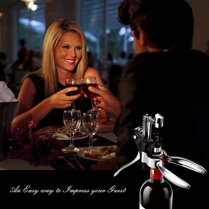 Подарунковий набір для вина 5 предметів TFORT