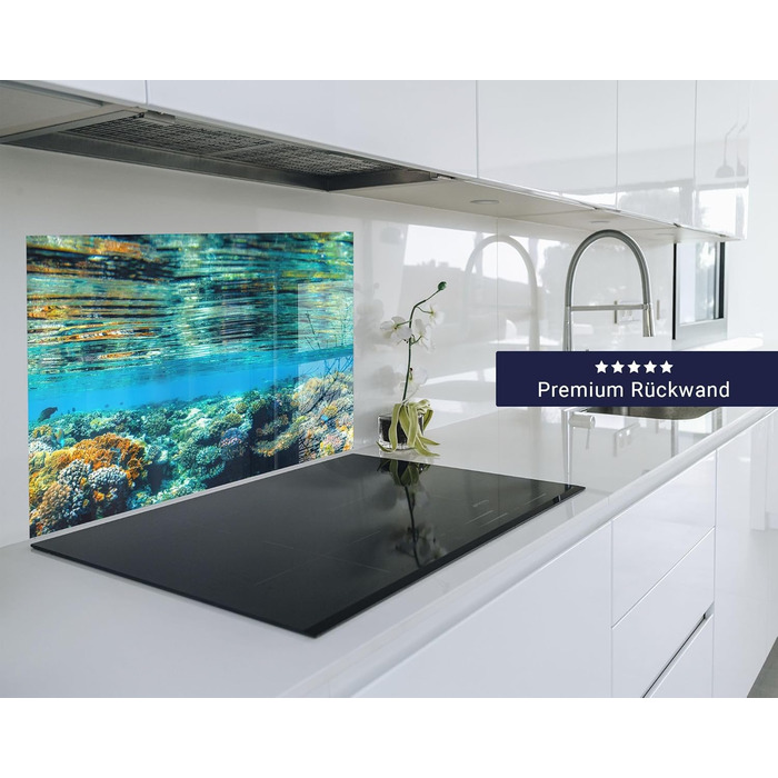 Кухонний фартух timalo зі скляним виглядом Північне море, очерет, захід сонця, океан, солома 2-мм акрилове скло Бризкозахисна стінка для плити, скляний кухонний фартух, акрилові скляні стінові панелі, захисна панель для фартуха (220 x 58 см, 311- Coral Re