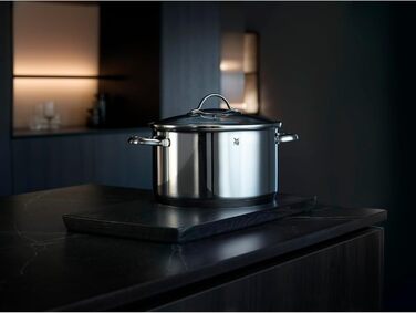 Provence Plus от WMF