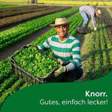 Заправка для салату Knorr з кроповими травами для смачної заправки для салату з натуральними інгредієнтами* 5 x 3 порції 15 кропових трав 9 г (75 упаковок)