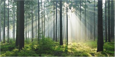 Кухонний фартух 80 х 40 см Bilderwelten